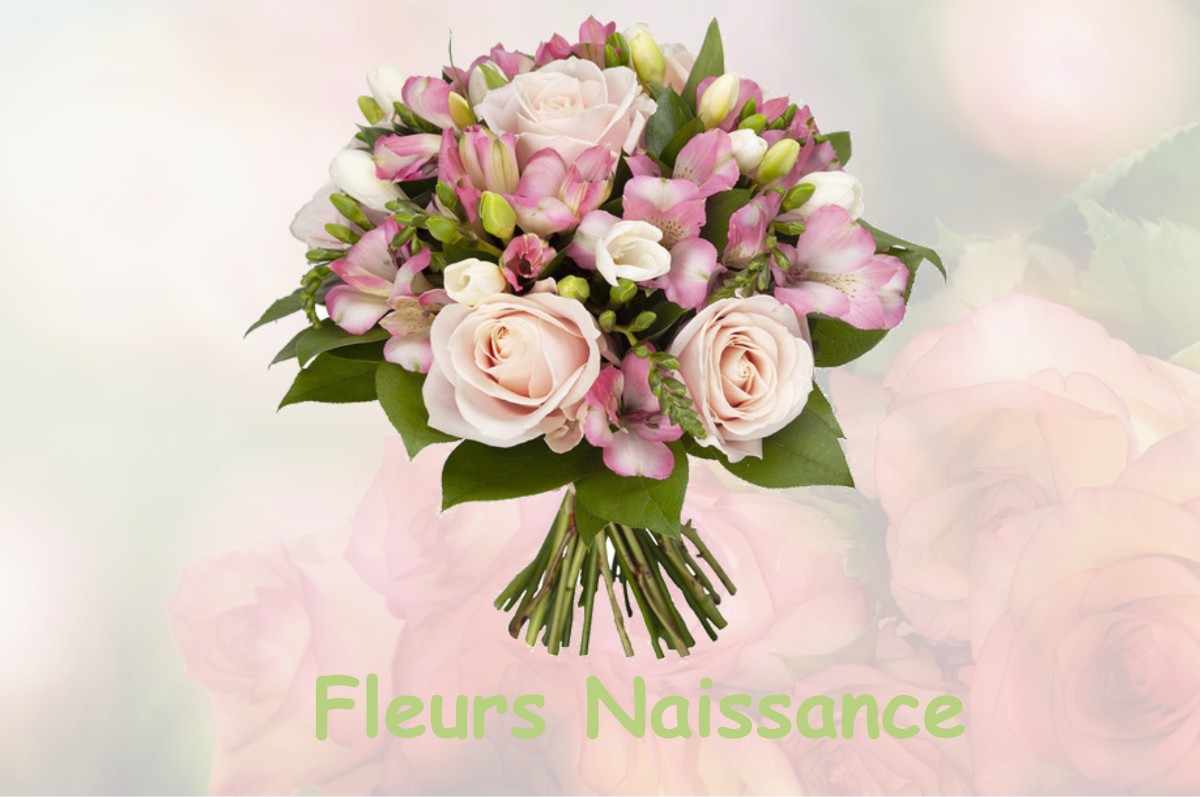 fleurs naissance CHAUFFOUR-LES-ETRECHY
